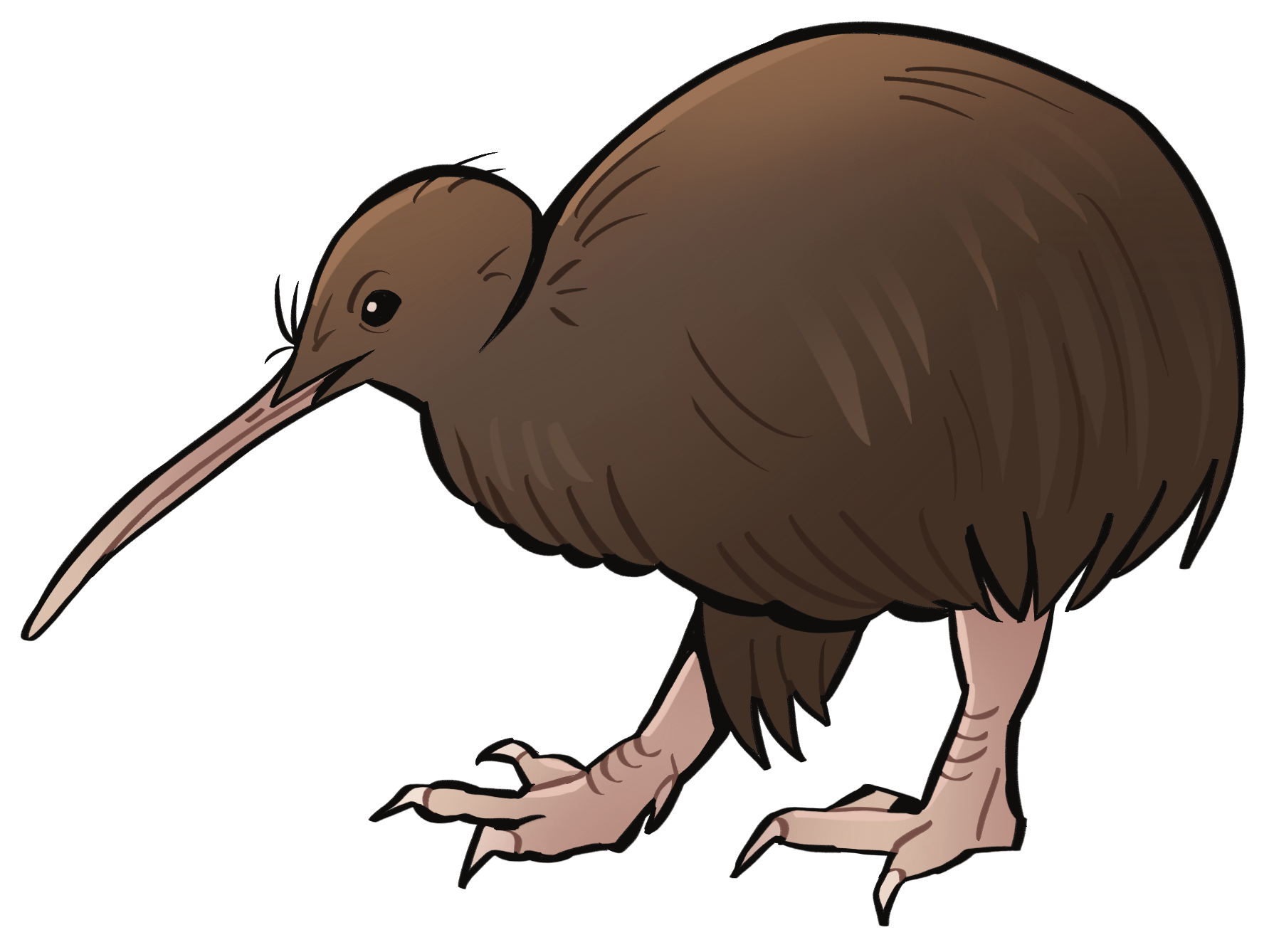 Kiwi Sticker