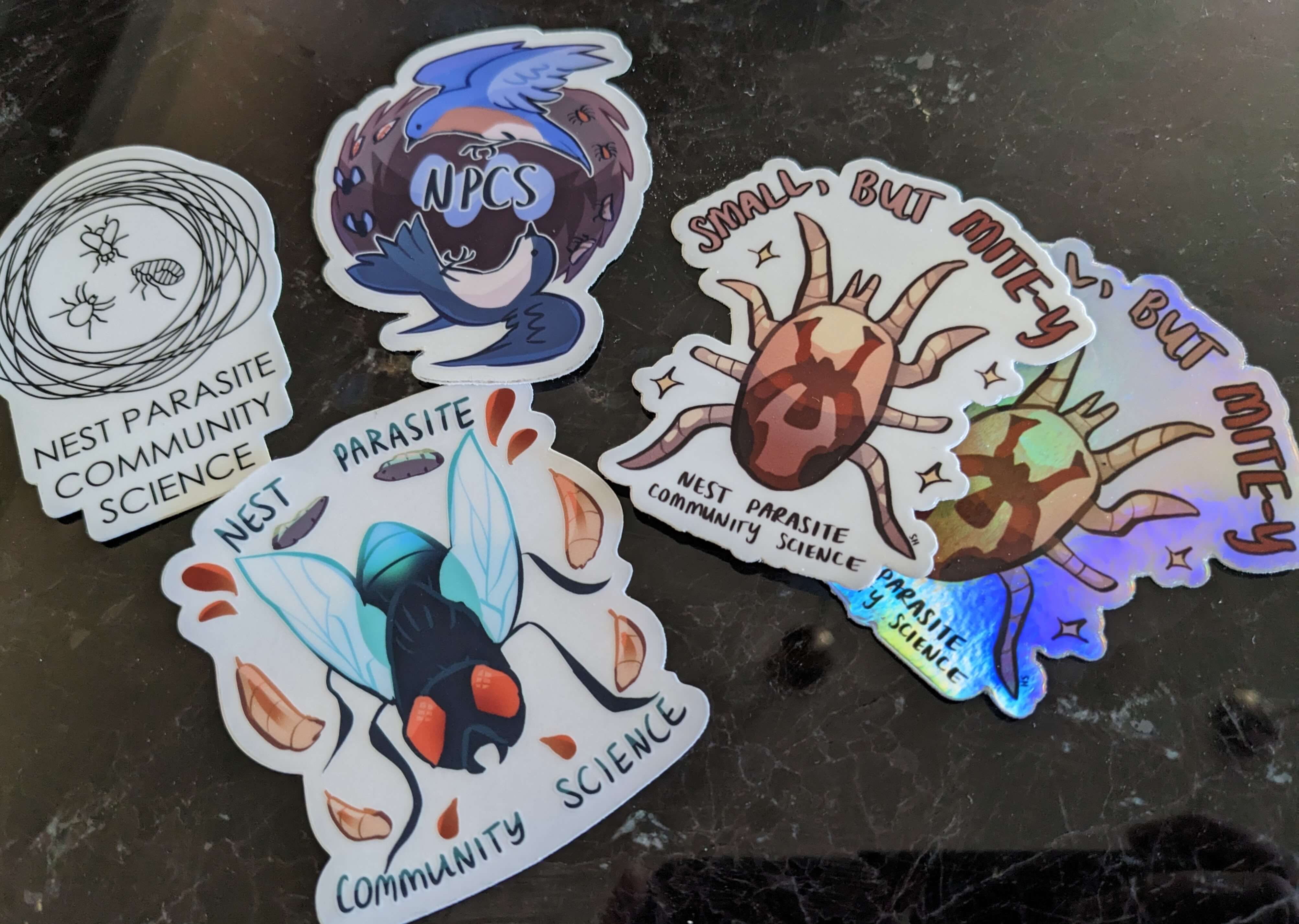 Photograph of 4 stickers depicting birds and ectoparasites.