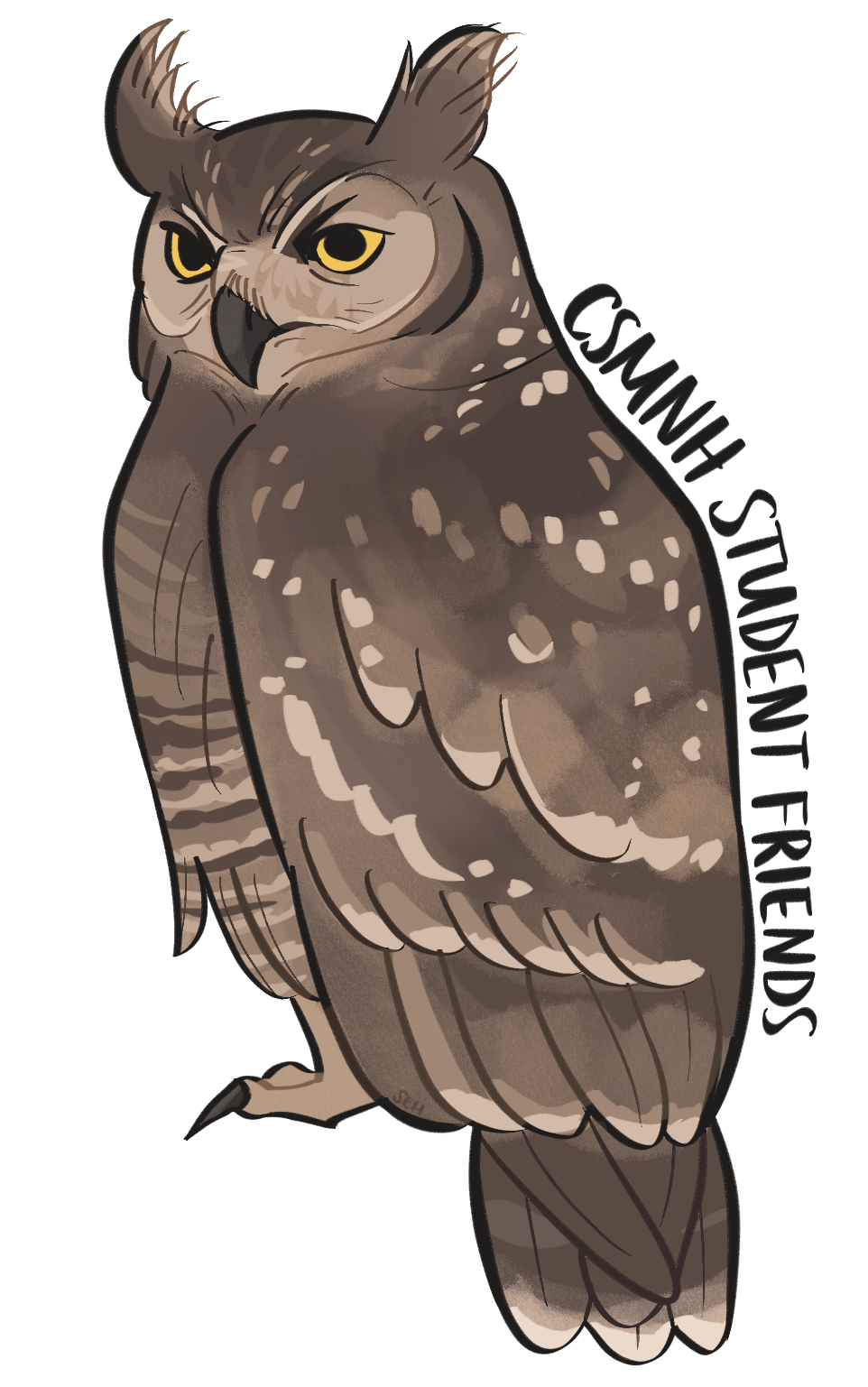 CSMNH Owl Sticker