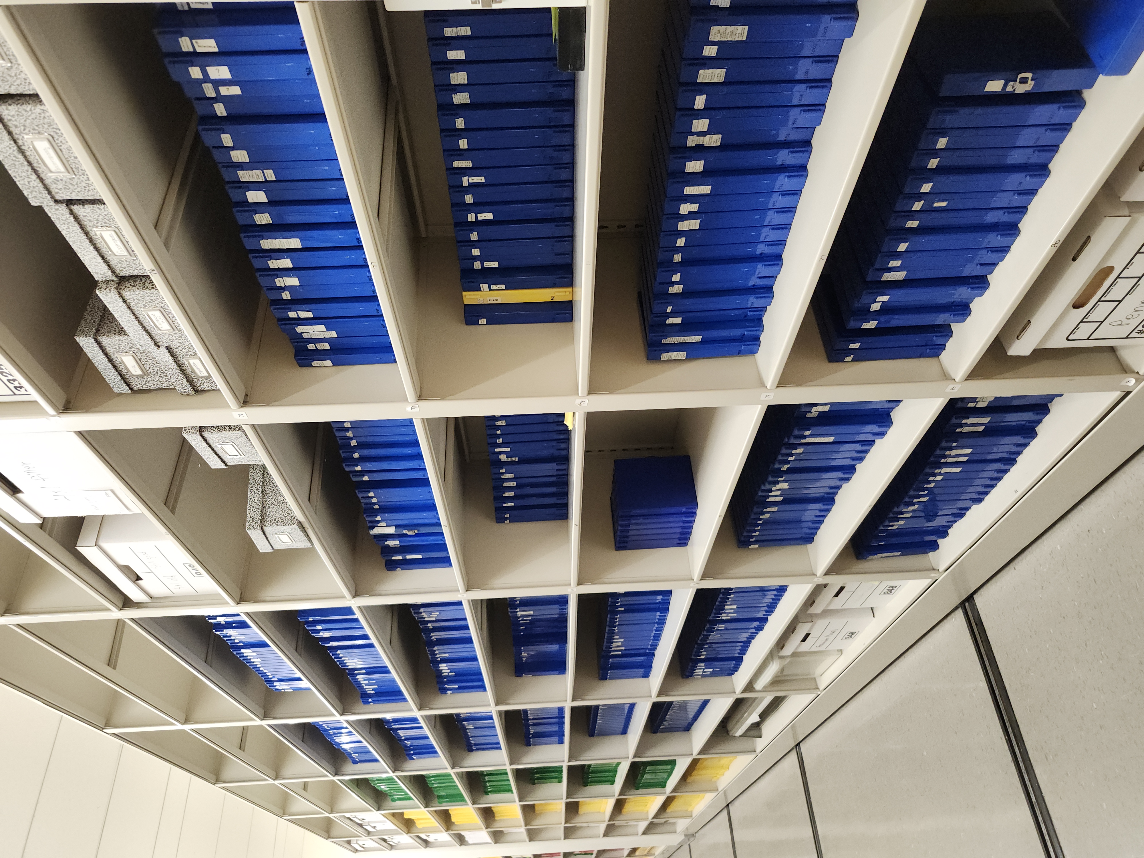 A photograph of a hallway of slide boxes.